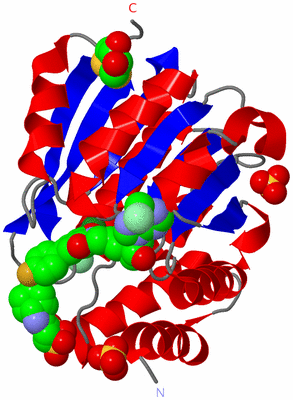 Image Asym./Biol. Unit