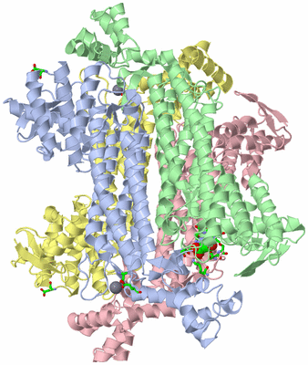 Image Biol. Unit 1 - sites