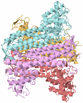 Image Biological Unit 2