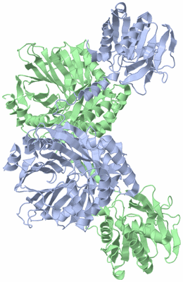 Image Asym./Biol. Unit