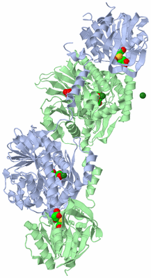 Image Asym./Biol. Unit