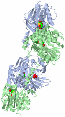 Image Asym./Biol. Unit