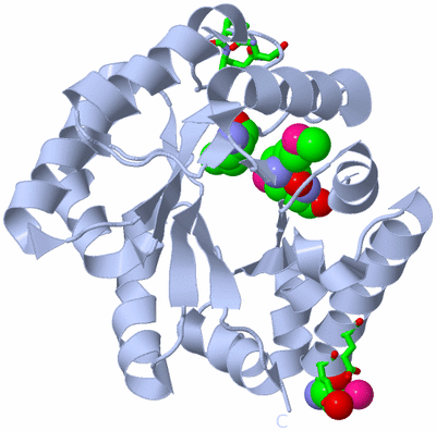 Image Biol. Unit 1 - sites