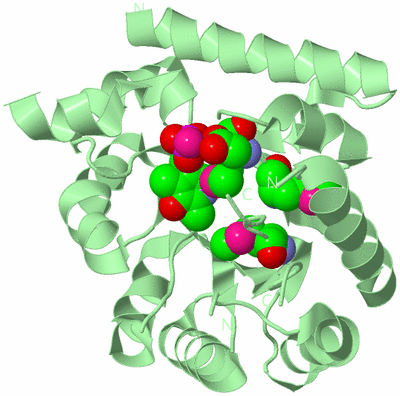 Image Biological Unit 2