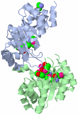 Image Biological Unit 3