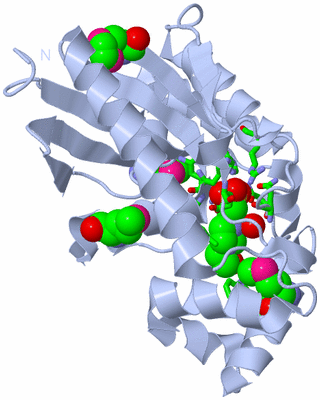 Image Biol. Unit 1 - sites