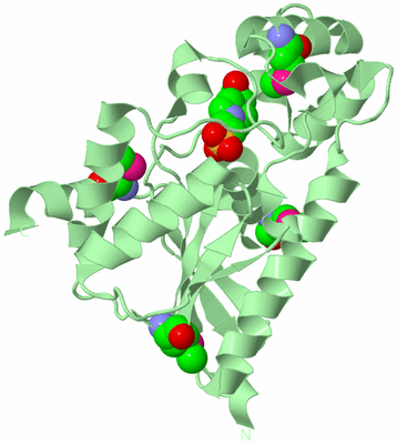 Image Biological Unit 2