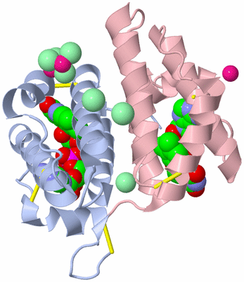 Image Biological Unit 1