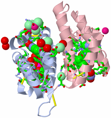 Image Biol. Unit 1 - sites