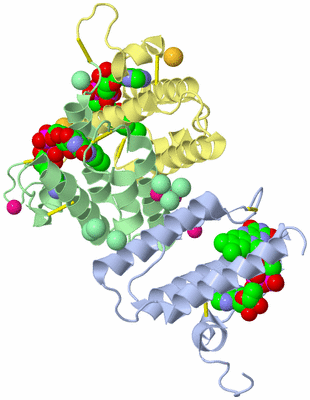 Image Biological Unit 2