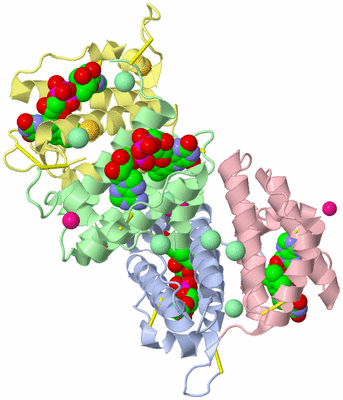 Image Biological Unit 3