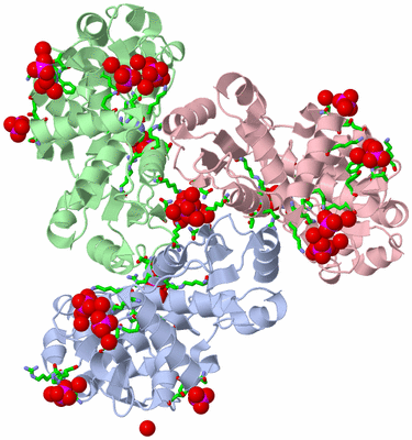 Image Asym./Biol. Unit - sites