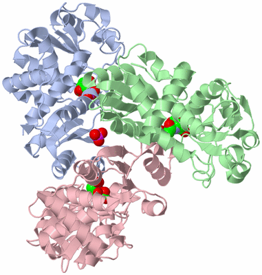 Image Biological Unit 1