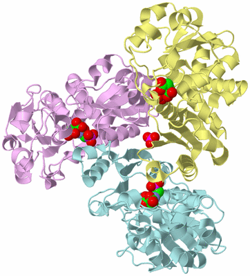 Image Biological Unit 2