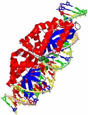 Image Asym./Biol. Unit