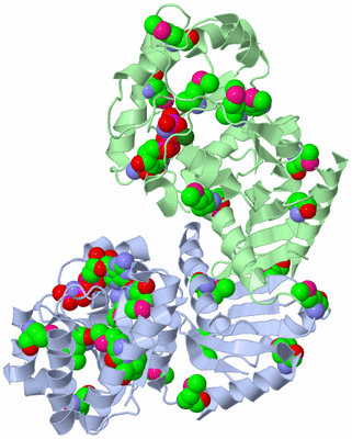 Image Biological Unit 1