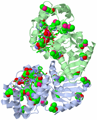 Image Biol. Unit 1 - sites