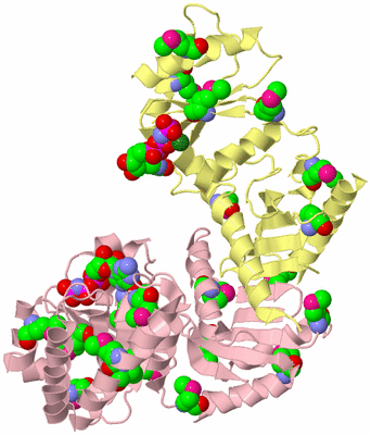 Image Biological Unit 2