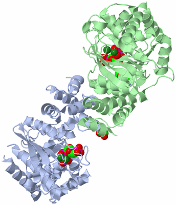 Image Asym./Biol. Unit