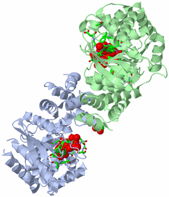 Image Asym./Biol. Unit - sites