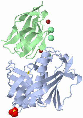 Image Biological Unit 1