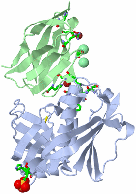 Image Biol. Unit 1 - sites