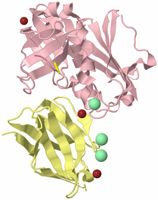 Image Biological Unit 2