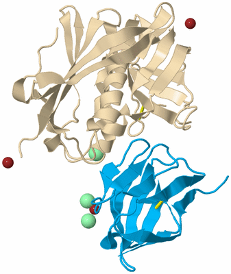 Image Biological Unit 5