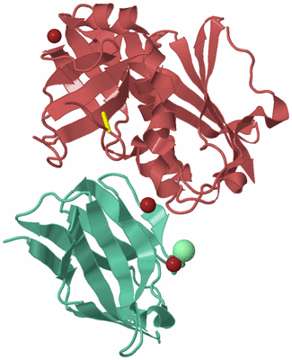 Image Biological Unit 6