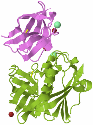 Image Biological Unit 7