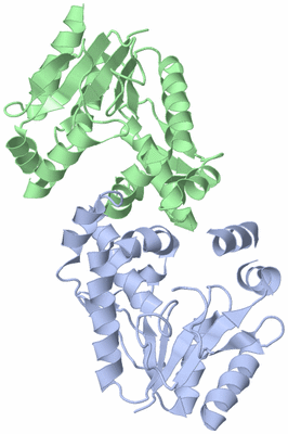 Image Asym./Biol. Unit