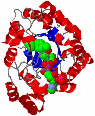 Image Asym./Biol. Unit