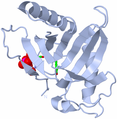 Image Biol. Unit 1 - sites