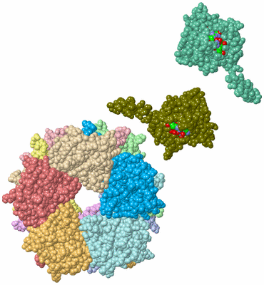 Image Biol. Unit 1 - sites