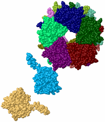 Image Biological Unit 2