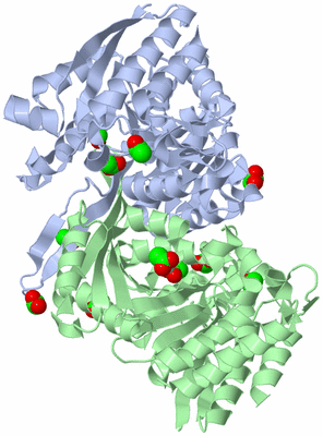 Image Biological Unit 1