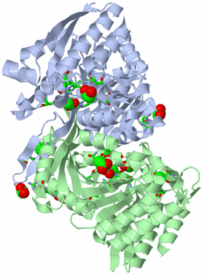 Image Biol. Unit 1 - sites