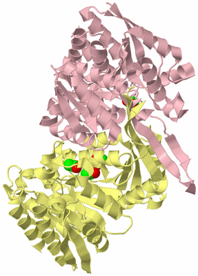 Image Biological Unit 2