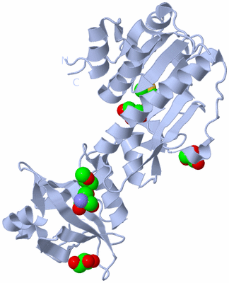 Image Biological Unit 1