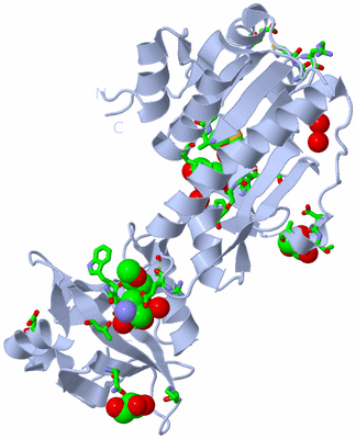 Image Biol. Unit 1 - sites