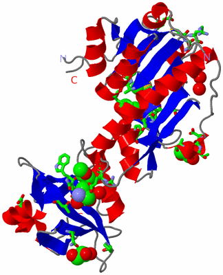 Image Asym. Unit - sites