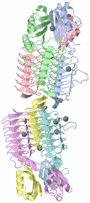 Image Asymmetric Unit