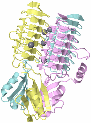 Image Biological Unit 2