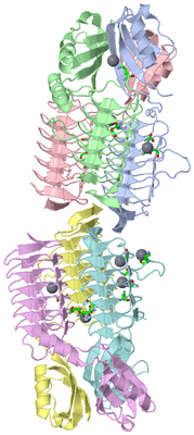 Image Asym. Unit - sites