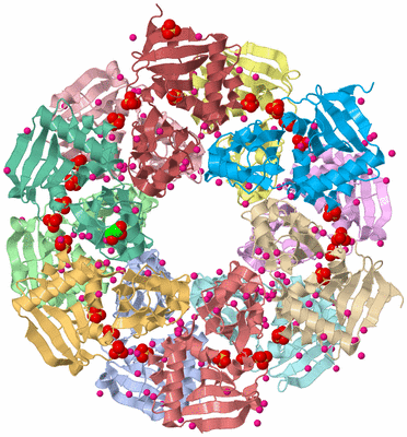 Image Asym./Biol. Unit