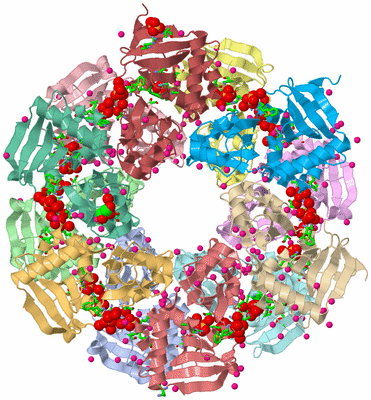 Image Asym./Biol. Unit - sites