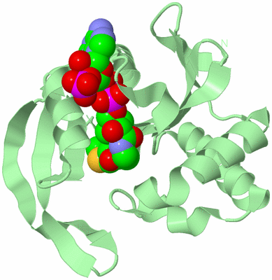 Image Biological Unit 2