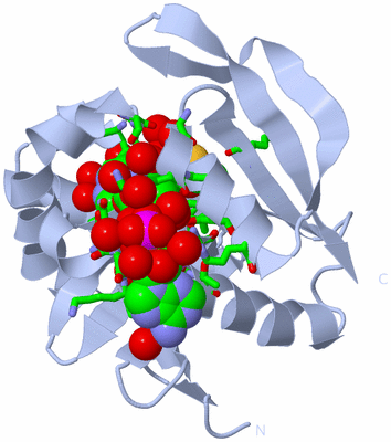 Image Biol. Unit 1 - sites