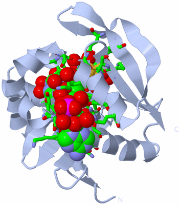 Image Biol. Unit 1 - sites