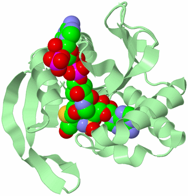 Image Biological Unit 2